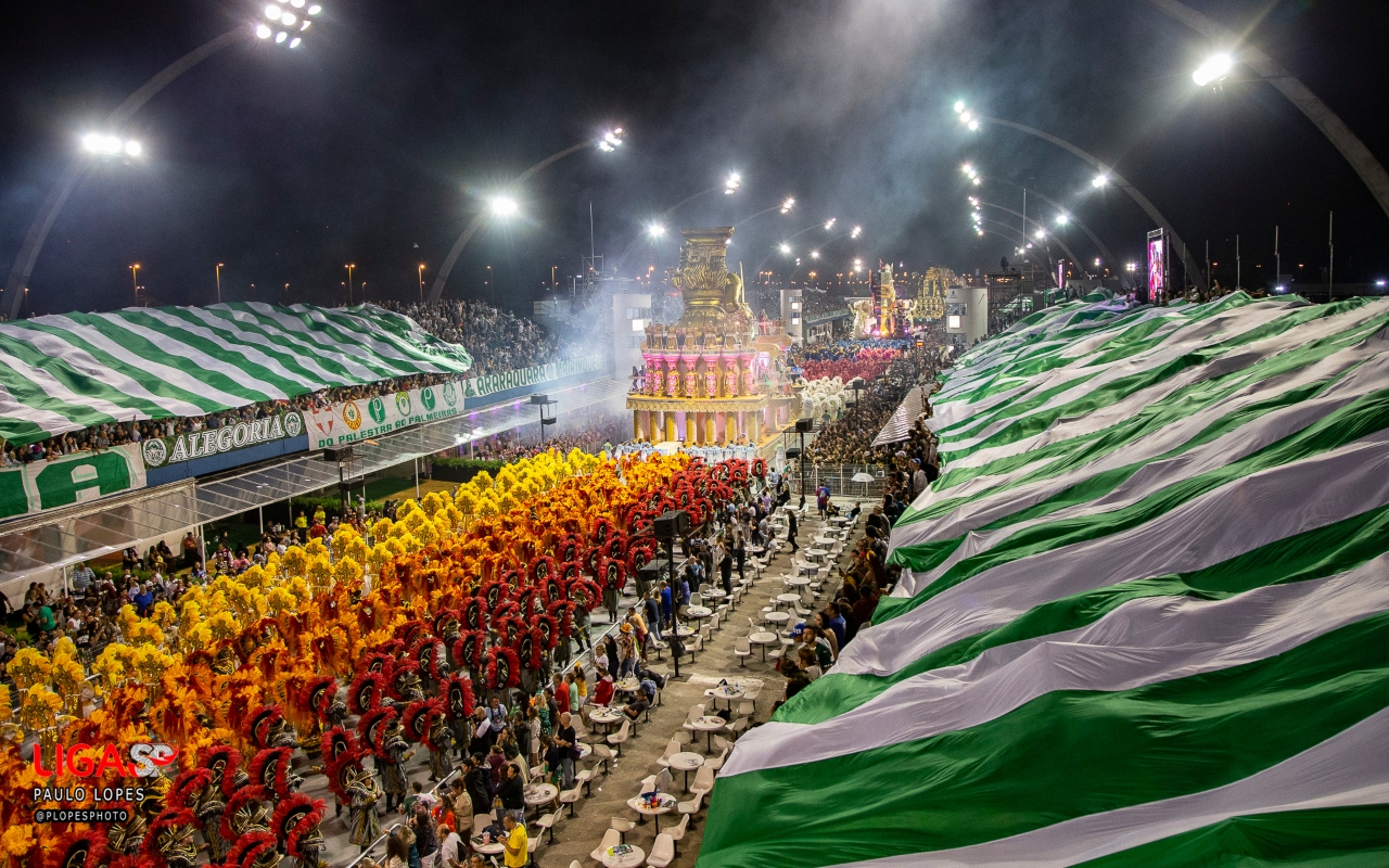 carnaval-solidario-ligasp-mancha-verde